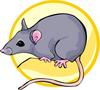 image of rat clip art